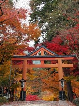 ⛩️ 히요시 대사(日吉大社) 이미지 3